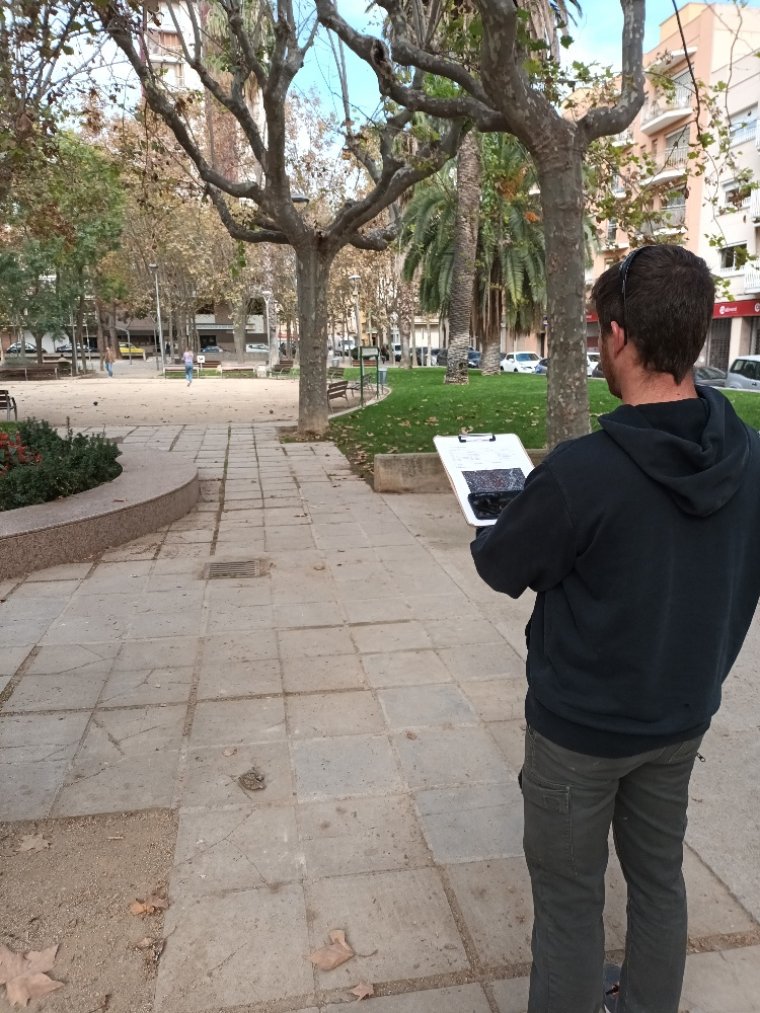 L’Ajuntament de Vilafranca elabora un cens dels coloms roquers que hi ha a la ciutat. Ajuntament de Vilafranca