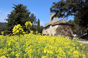 Les obres per construir la primera fase de la Via Blava Anoia s'iniciaran el febrer de 2023. ACN