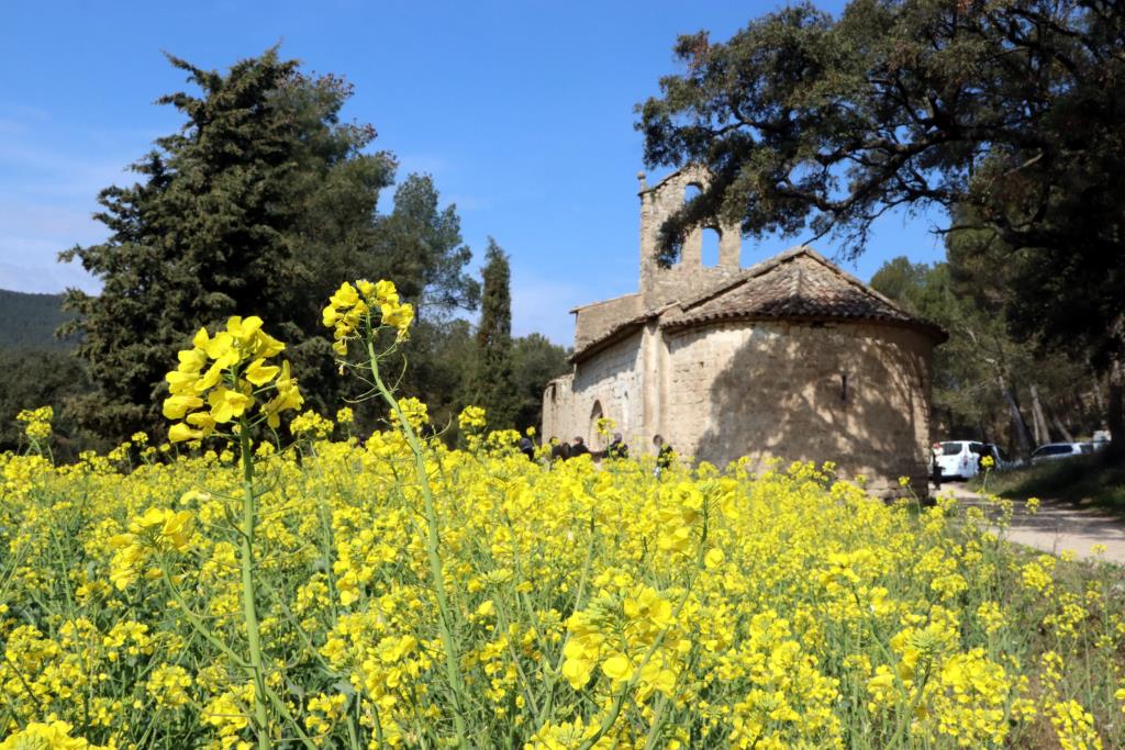 Les obres per construir la primera fase de la Via Blava Anoia s'iniciaran el febrer de 2023. ACN