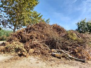 Les restes vegetals de l’esclafit del 31 d’agost es reaprofitaran a les zones enjardinades de Vilafranca