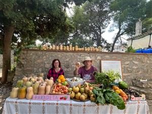 L’hort terapèutic de Masia Nova: una eina per millorar el benestar emocional 