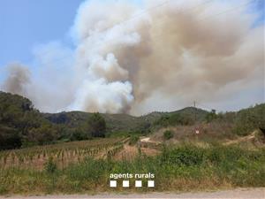 L'incendi d'Olivella ja ha calcinat més de 25 hectàrees i recomanen el confinament de la població. Bombers