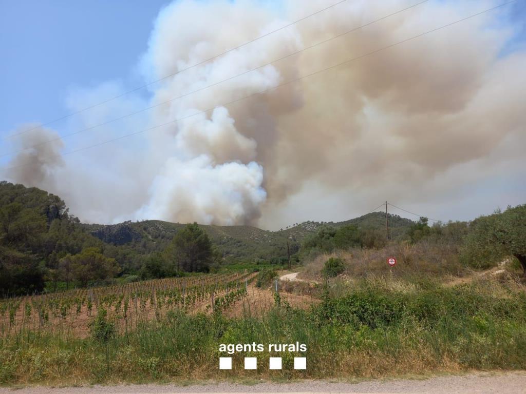 L'incendi d'Olivella ja ha calcinat més de 25 hectàrees i recomanen el confinament de la població. Bombers