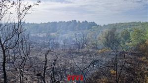 L'incendi fortuït d'un cotxe provoca un foc forestal a Olèrdola. Bombers