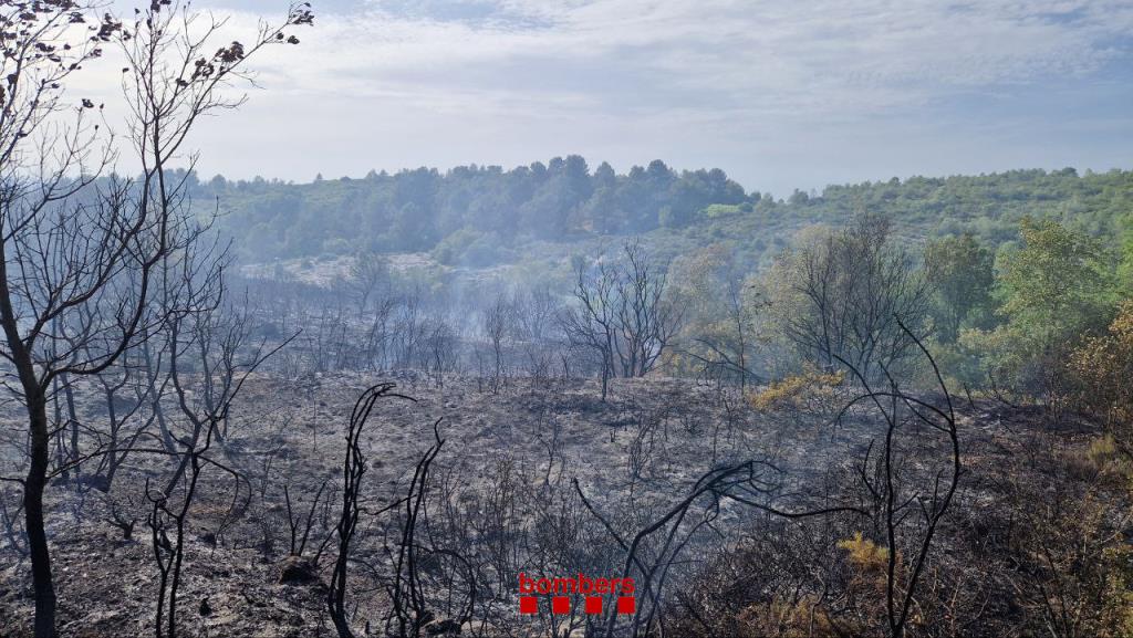 L'incendi fortuït d'un cotxe provoca un foc forestal a Olèrdola. Bombers