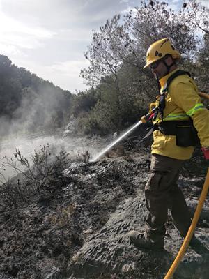 L'incendi fortuït d'un cotxe provoca un foc forestal a Olèrdola