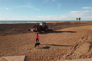 Llaurat a la platja de Ribes Roges. Eix