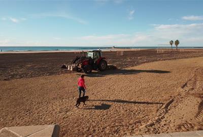 Llaurat a la platja de Ribes Roges. Eix