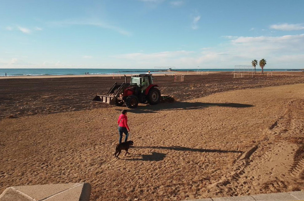 Llaurat a la platja de Ribes Roges. Eix