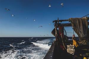 L'Organització Mundial del Comerç arriba a un acord per prohibir la pesca no regulada. ACN