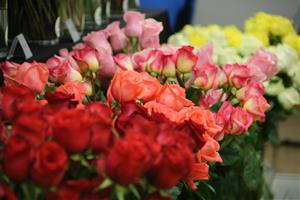 Mercabarna-flor preveu un Sant Jordi amb xifres pròximes a la prepandèmia i que es venguin uns sis milions de roses