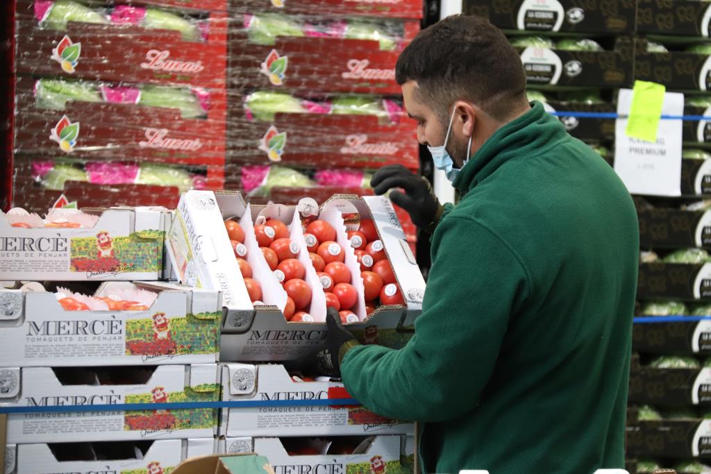 Mercabarna nota un descens d'un 38% de l'entrada de peix i d'un 20% de fruita per la vaga de transportistes. ACN