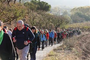 Més de 1.000 assistents i 9.600€ recaptats per a La Marató en la I caminada solidària ‘Directe al cor’. Ametller Origen