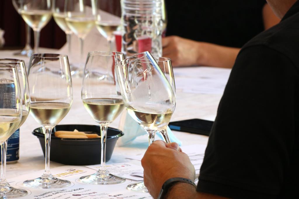 Neix el primer panel de consumidors del vi de Catalunya per conèixer millor les preferències del mercat. ACN