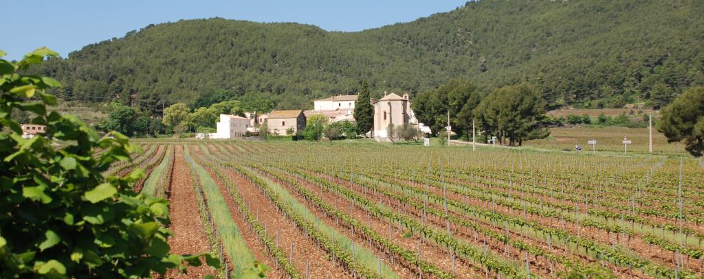 Paisatge del Baix Penedès. Eix