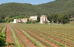 Paisatge del Baix Penedès. Eix