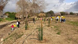 Plantació de vegetació a la riera de l’Adoberia, amb el suport de l’ADF La Carrerada. Ajuntament de Vilafranca