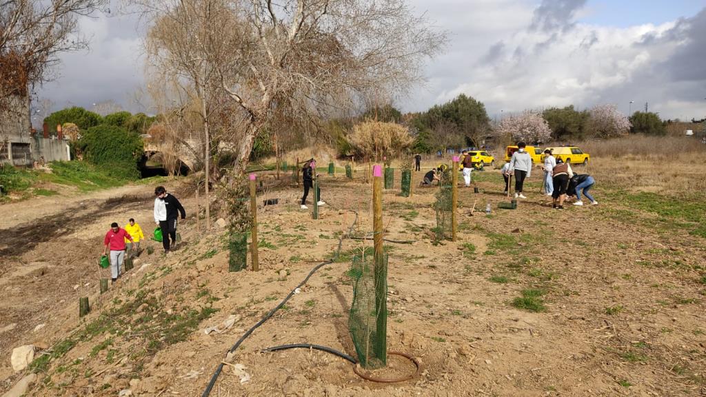 Plantació de vegetació a la riera de l’Adoberia, amb el suport de l’ADF La Carrerada. Ajuntament de Vilafranca