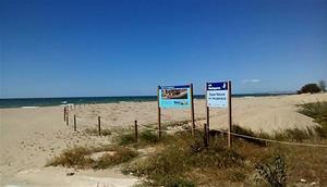 Platja de Les Madrigueres al Vendrell. Eix