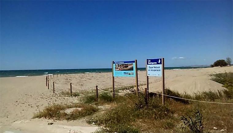 Platja de Les Madrigueres al Vendrell. Eix