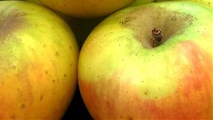 Pontons promociona la seva poma i destaca els seus valors culinaris. CC Alt Penedès