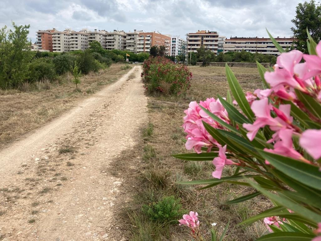 Posicionament en contra dels aparcaments dissuasius a l'Ortoll. APMA