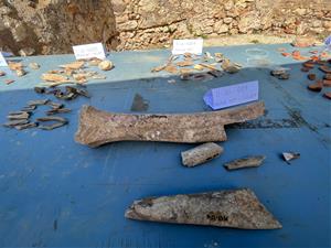 Quinze voluntaris troben peces de ceràmica, bronze, plom, monedes a la vil·la romana de Darró