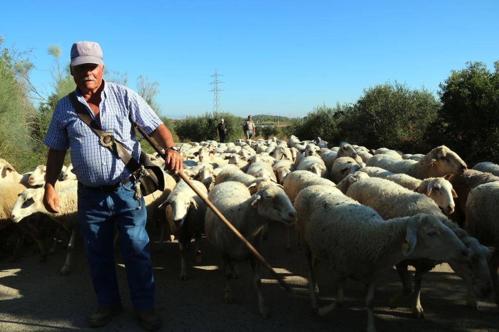 Recuperen el camí ramader de Santa Coloma de Queralt a Cunit. ACN