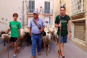 Recuperen el camí ramader de Santa Coloma de Queralt a Cunit