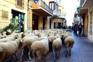 Recuperen el camí ramader de Santa Coloma de Queralt a Cunit