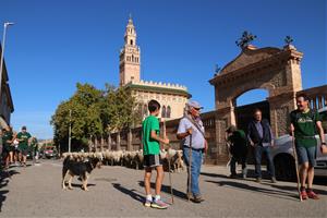 Recuperen el camí ramader de Santa Coloma de Queralt a Cunit