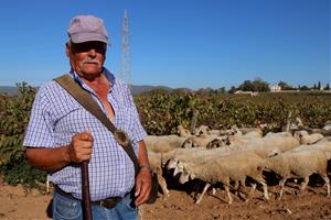 Recuperen el camí ramader de Santa Coloma de Queralt a Cunit