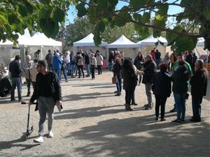 Santa Oliva celebrarà la quarta edició de la Fira de l'Olivera el proper diumenge