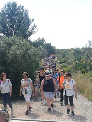 S'obre la via verda entre Vilanova i Cubelles amb un pas de vianants per creuar la carretera