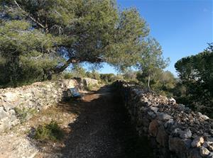 S'obre un nou tram de l'antic camí de Santa Llúcia, entre Vilanova i Cubelles