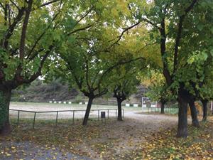 Subirats rep un pla per a la millora de la jardineria pública. Diputació de Barcelona