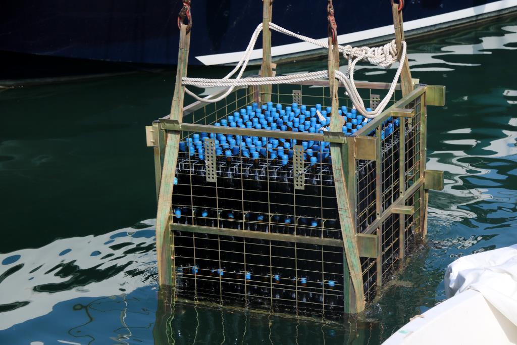 Submergeixen per primer cop en un port 500 ampolles de Malvasia de Sitges per experimentar un nou procés d'envelliment. ACN