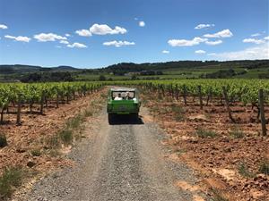 Sumarroca, l’herència familiar que dona personalitat a uns vins i caves autèntics