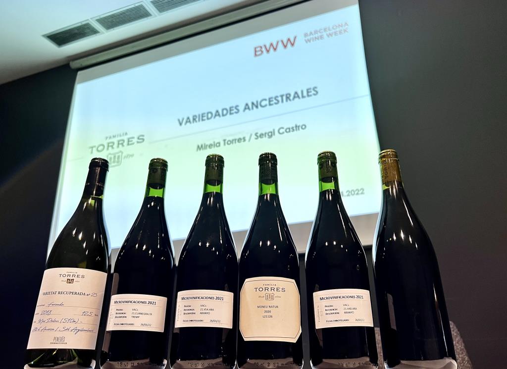 Torres presenta varietats ancestrals inèdites a la Barcelona Wine Week. Família Torres