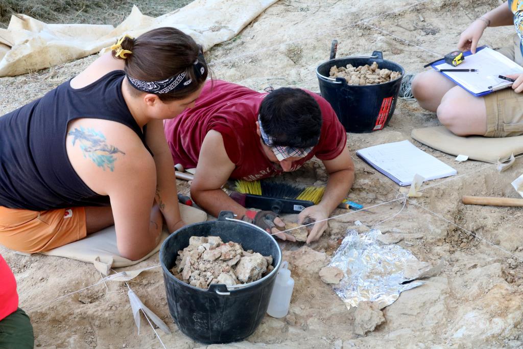 Troben al Penedès fragments de crani de diverses espècies extingides fa 14 milions d'anys. ACN