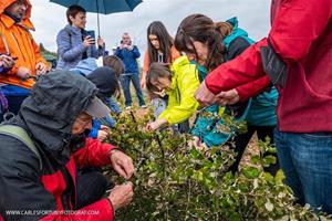 Un centenar de persones participen a la plantada d'una alzina en memòria de la vilafranquina Mònica Hill. Carles Fortuny