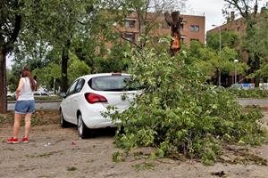 Un esclafit a Vilafranca del Penedès inunda carrers i tomba arbres