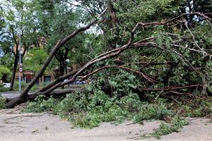 Un esclafit a Vilafranca del Penedès inunda carrers i tomba arbres