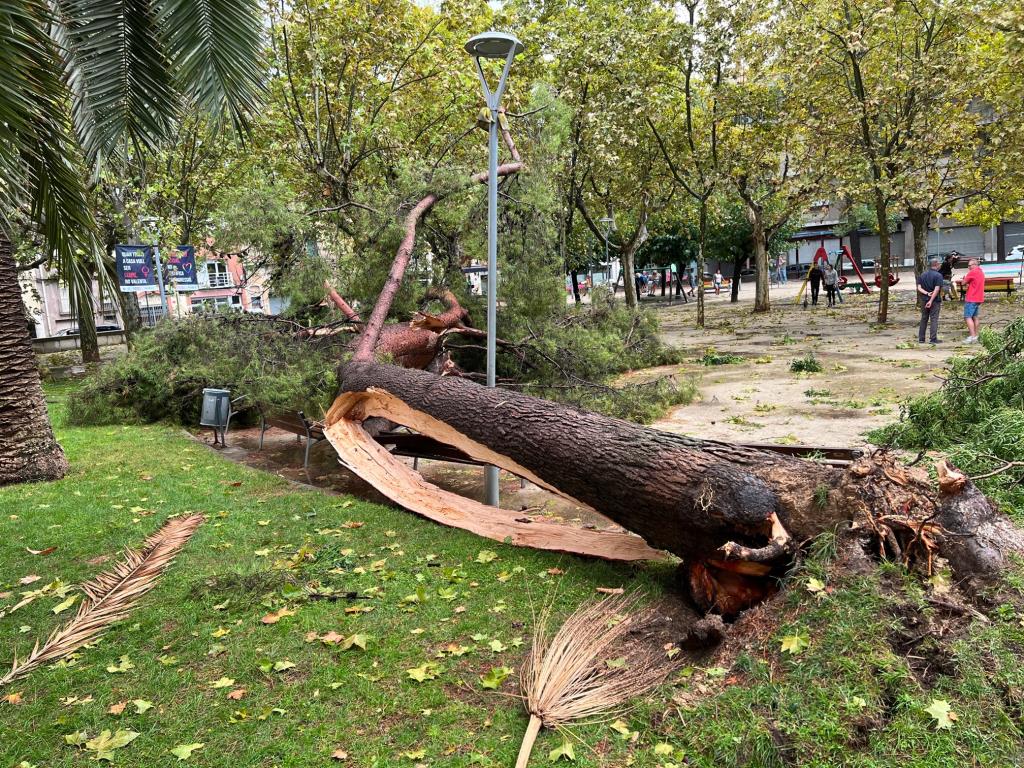 Un esclafit a Vilafranca del Penedès inunda carrers i tomba arbres . ACN