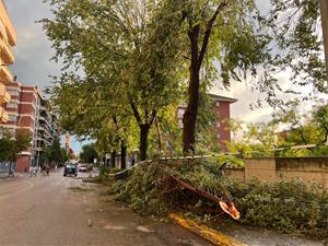 Un esclafit a Vilafranca del Penedès inunda carrers i tomba arbres 