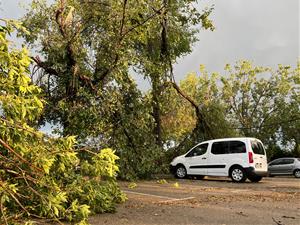 Un esclafit a Vilafranca del Penedès inunda carrers i tomba arbres 