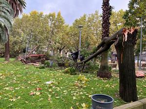 Un esclafit a Vilafranca del Penedès inunda carrers i tomba arbres 