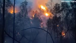 Un foc forestal crema des de divendres a la nit a Sant Pere de Ribes. ADF Garraf