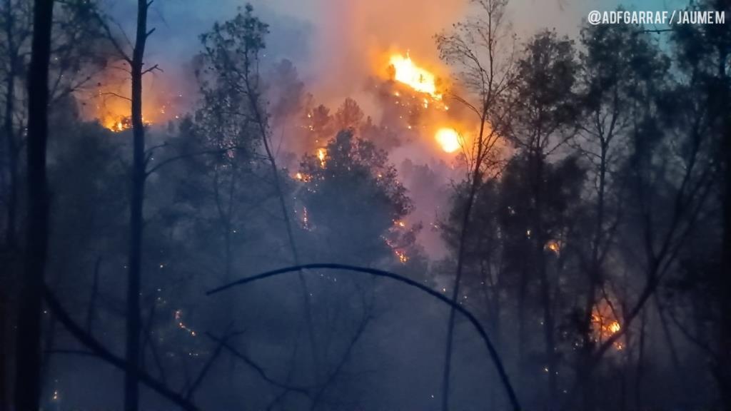 Un foc forestal crema des de divendres a la nit a Sant Pere de Ribes. ADF Garraf