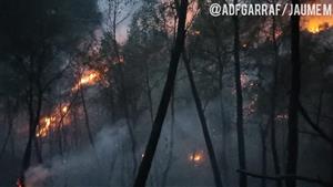 Un foc forestal crema des de divendres a la nit a Sant Pere de Ribes